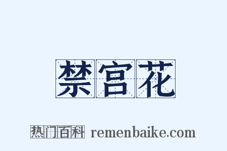 禁宫花是什么意思的图片